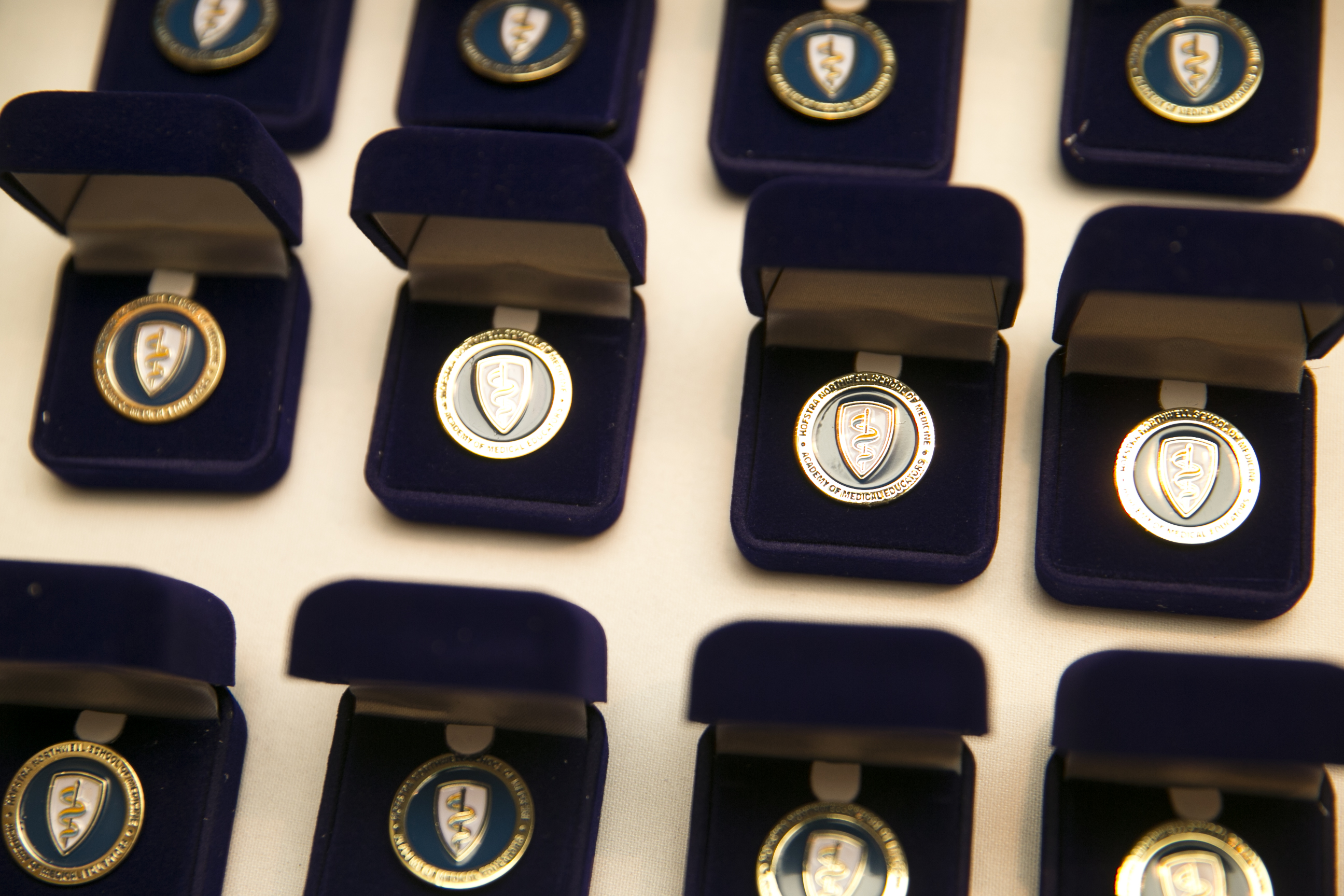 Academy of Medical Educators induction