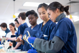 Anatomy Lab
